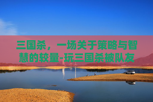 三国杀,一场关于策略与智慧的较量-玩三国杀被队友扔菜 三国杀,一场关于策略与智慧的较量-玩三国杀被队友扔菜