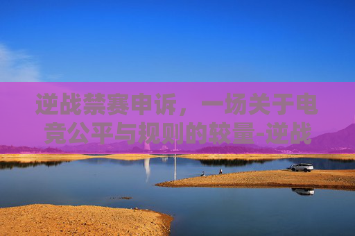 逆战禁赛申诉,一场关于电竞公平与规则的较量-逆战禁赛申诉怎么写 逆战禁赛申诉,一场关于电竞公平与规则的较量-逆战禁赛申诉怎么写
