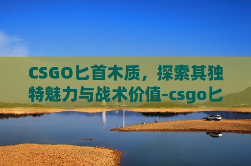 CSGO匕首木质，探索其独特魅力与战术价值-csgo匕首推荐