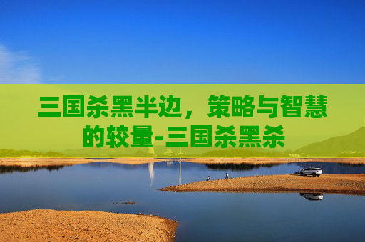 三国杀黑半边,策略与智慧的较量-三国杀黑杀 三国杀黑半边,策略与智慧的较量-三国杀黑杀