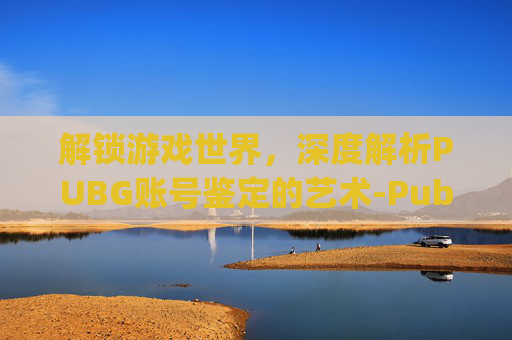 解锁游戏世界,深度解析PUBG账号鉴定的艺术-Pubg账号检测查询 解锁游戏世界,深度解析PUBG账号鉴定的艺术-Pubg账号检测查询