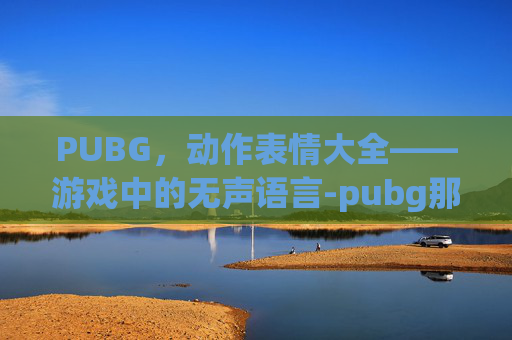 PUBG，动作表情大全——游戏中的无声语言-pubg那些绝版的动作表情