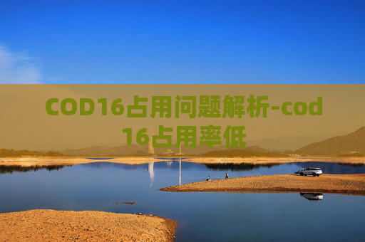 COD16占用问题解析-cod16占用率低