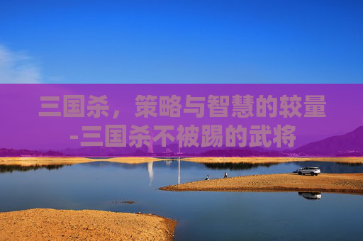 三国杀,策略与智慧的较量-三国杀不被踢的武将 三国杀,策略与智慧的较量-三国杀不被踢的武将