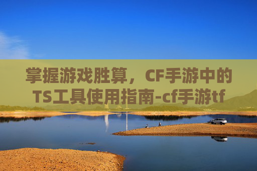 掌握游戏胜算,CF手游中的TS工具使用指南-cf手游tf 掌握游戏胜算,CF手游中的TS工具使用指南-cf手游tf