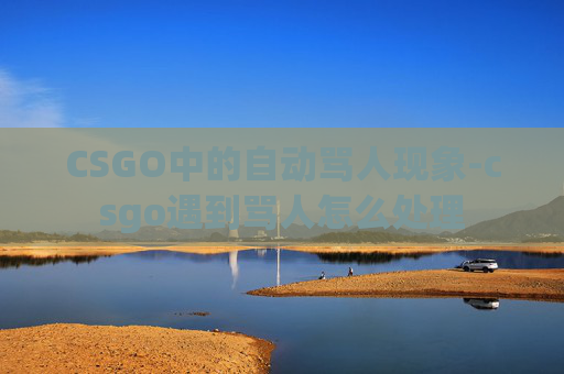 CSGO中的自动骂人现象-csgo遇到骂人怎么处理