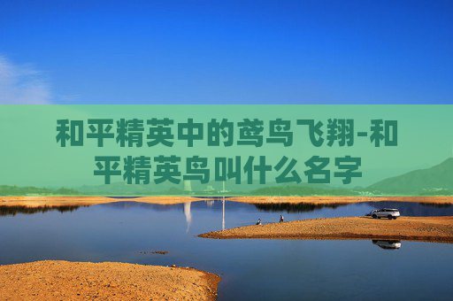 和平精英中的鸢鸟飞翔-和平精英鸟叫什么名字