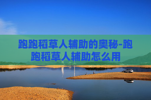 跑跑稻草人辅助的奥秘-跑跑稻草人辅助怎么用 跑跑稻草人辅助的奥秘-跑跑稻草人辅助怎么用