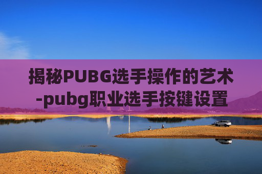 揭秘PUBG选手操作的艺术-pubg职业选手按键设置