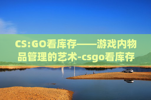 CS:GO看库存——游戏内物品管理的艺术-csgo看库存的软件
