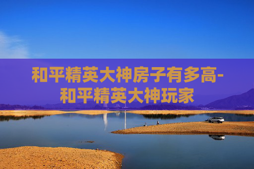 和平精英大神房子有多高-和平精英大神玩家