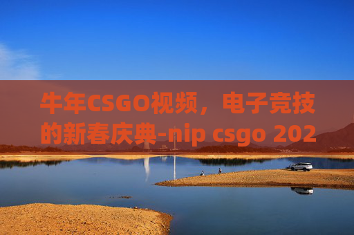 牛年CSGO视频,电子竞技的新春庆典-nip csgo 2021 牛年CSGO视频,电子竞技的新春庆典-nip csgo 2021