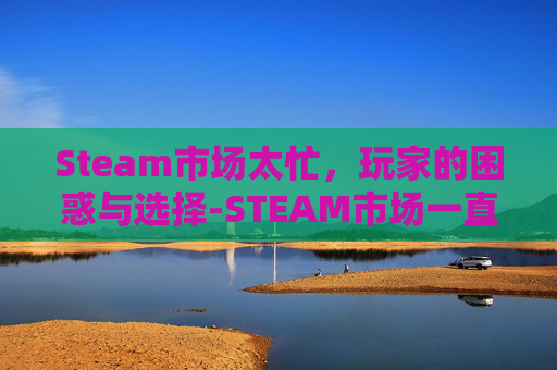 Steam市场太忙，玩家的困惑与选择-STEAM市场一直处于禁止访问