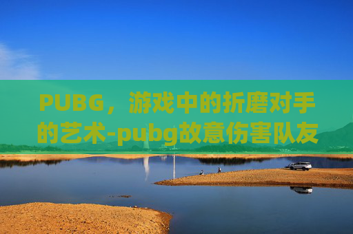 PUBG，游戏中的折磨对手的艺术-pubg故意伤害队友会封吗