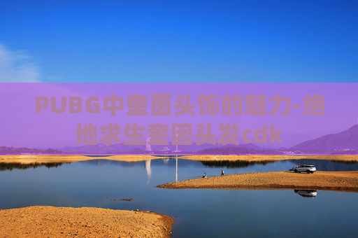 PUBG中奎茵头饰的魅力-绝地求生奎因头发cdk PUBG中奎茵头饰的魅力-绝地求生奎因头发cdk