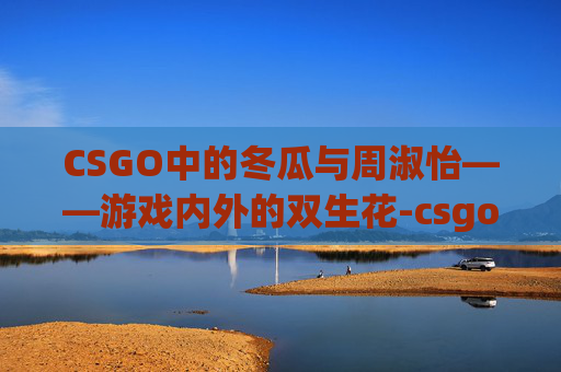 CSGO中的冬瓜与周淑怡——游戏内外的双生花-csgo冬瓜资料 CSGO中的冬瓜与周淑怡——游戏内外的双生花-csgo冬瓜资料
