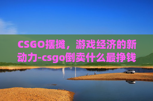 CSGO摆摊，游戏经济的新动力-csgo倒卖什么最挣钱