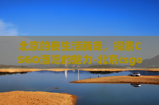 北京的夜生活新宠,探索CSGO酒吧的魅力-北京csgo网吧 北京的夜生活新宠,探索CSGO酒吧的魅力-北京csgo网吧