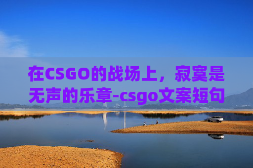在CSGO的战场上,寂寞是无声的乐章-csgo文案短句 在CSGO的战场上,寂寞是无声的乐章-csgo文案短句
