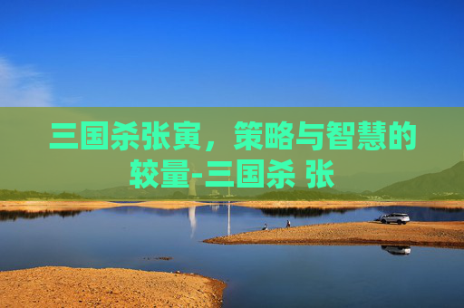 三国杀张寅,策略与智慧的较量-三国杀 张 三国杀张寅,策略与智慧的较量-三国杀 张