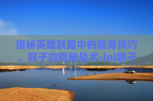 揭秘英雄联盟中的隐身技巧，猴子的隐秘战术-lol猴子隐身对方视角怎么调