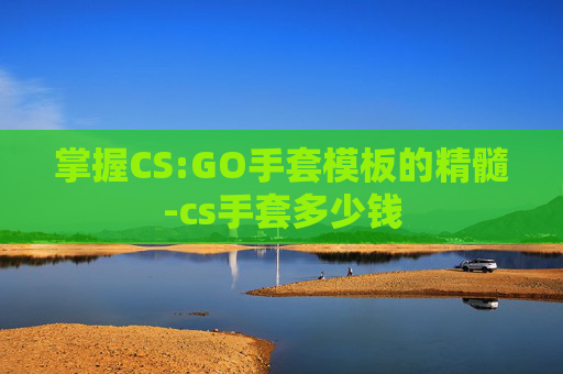掌握CS:GO手套模板的精髓-cs手套多少钱