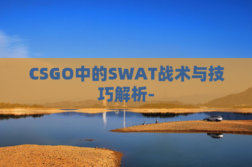 CSGO中的SWAT战术与技巧解析-