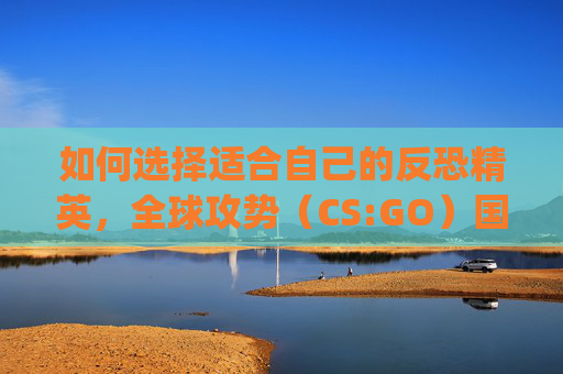如何选择适合自己的反恐精英，全球攻势（CS:GO）国际服-csgo选国际服还是国服界面