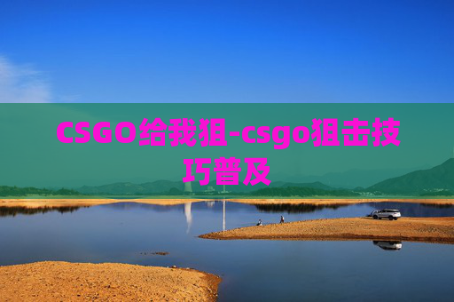 CSGO给我狙-csgo狙击技巧普及