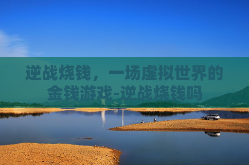 逆战烧钱,一场虚拟世界的金钱游戏-逆战烧钱吗 逆战烧钱,一场虚拟世界的金钱游戏-逆战烧钱吗