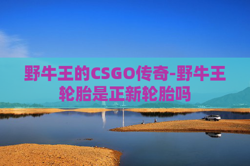 野牛王的CSGO传奇-野牛王轮胎是正新轮胎吗 野牛王的CSGO传奇-野牛王轮胎是正新轮胎吗