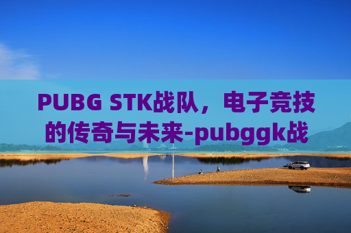 PUBG STK战队，电子竞技的传奇与未来-pubggk战队
