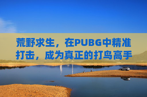 荒野求生，在PUBG中精准打击，成为真正的打鸟高手-pubg打法